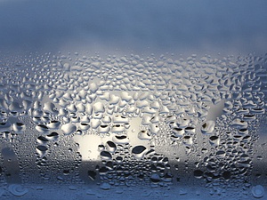 Kaltes Glas beschlägt. Luftfeuchtigkeit kondensiert auf kalten Flächen. An der Wand ist das die Grundlage für Schimmelpilz.